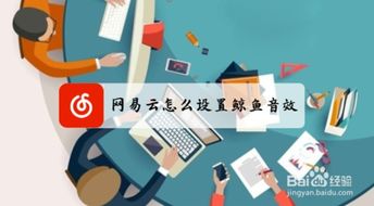 網易云音樂與云直聘的鯨魚音效設置指引